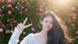 ����Ƭ�ĺ��v