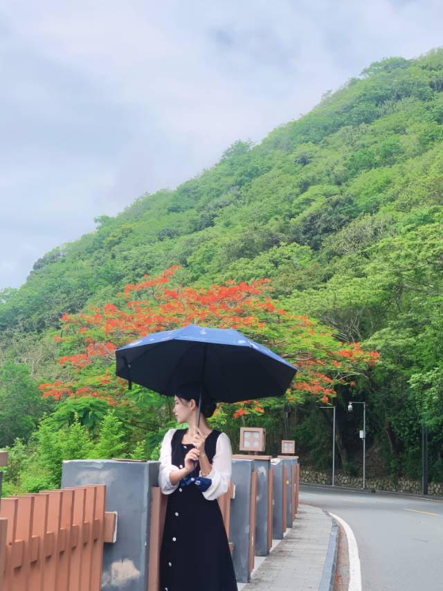 ����Ƭ�ĺ��v