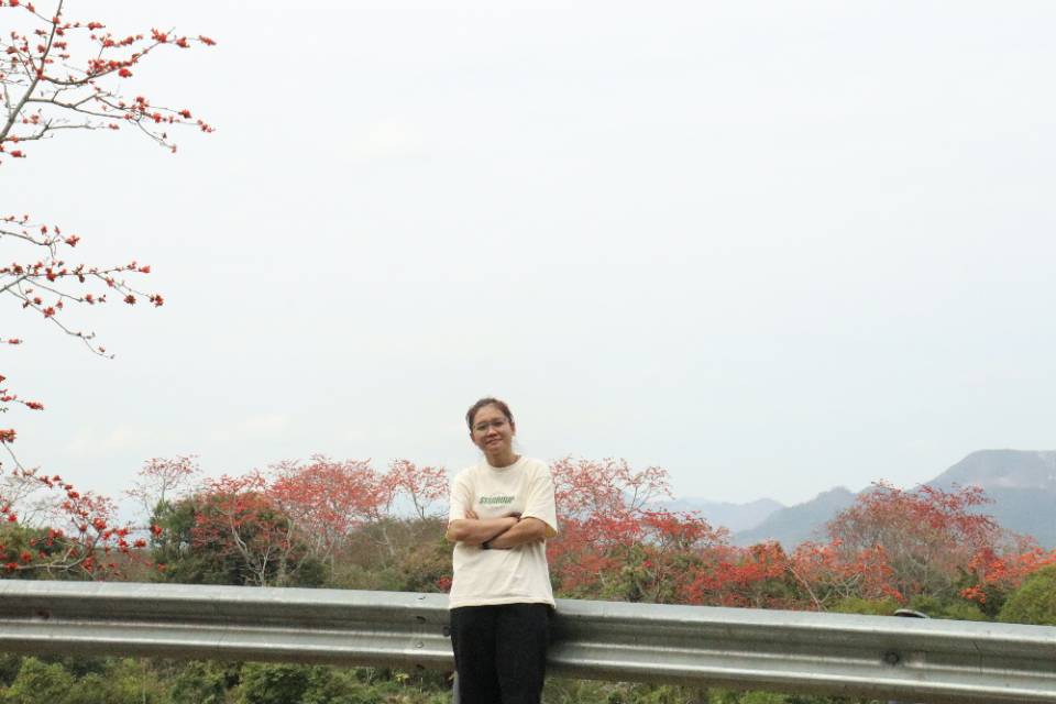 ����Ƭ�ĺ��v